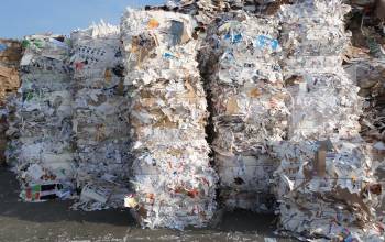Утилизация бумаги — это вопрос экологии или порядка в документах?